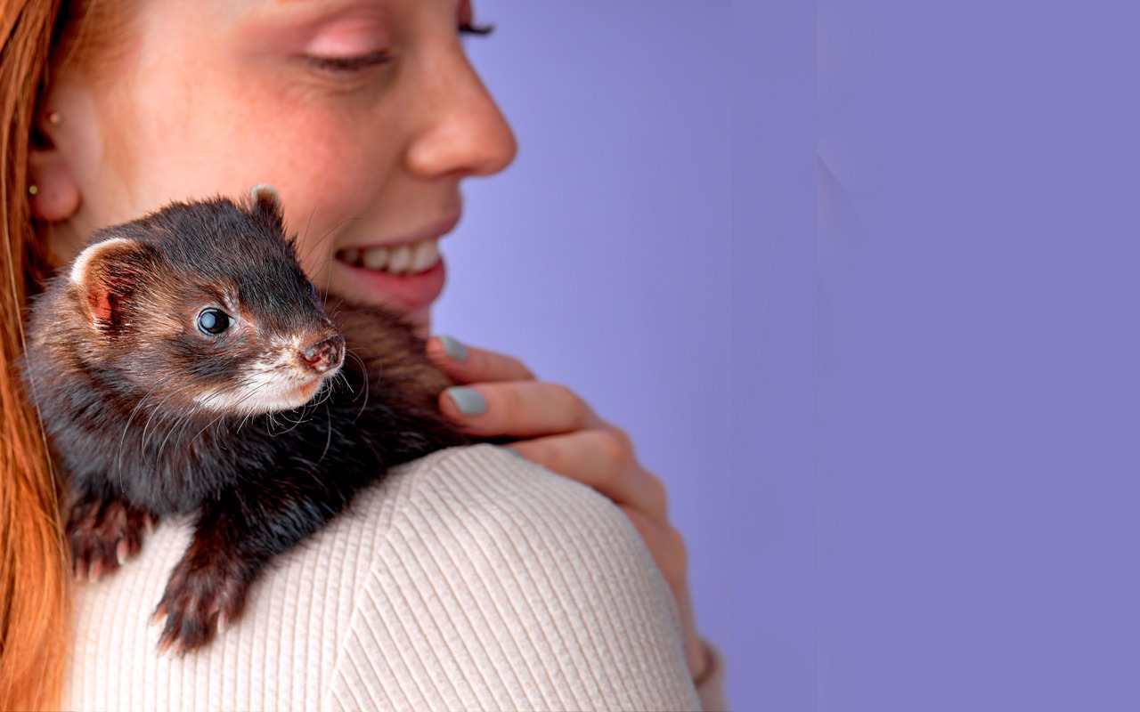 Pet Care